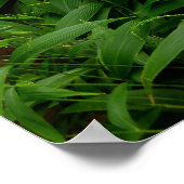 ハワイアンハイキングトレイル ポスター (角)