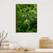 ハワイアンハイキングトレイル ポスター (キッチン)