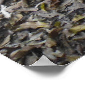 ハワイアンハイキングトレイル ポスター (角)