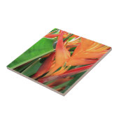 ハワイアンハイビスカスフラワーセラミックタイル タイル (側面)