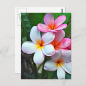 ハワイアンハイビスカスフラワーポストカード ポストカード (正面/裏面)