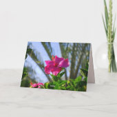 ハワイアンハッピーバースデー非常にピンクハイビスカスカード カード (裏面)