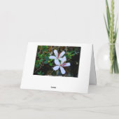 ハワイアンハッピーバースデー カード (裏面)