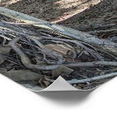 ハワイアンバンヤンツリーポスター ポスター (角)