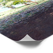 ハワイアンバンヤンツリーポスター ポスター (角)