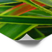 ハワイアンパイナップル ポスター (角)