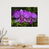 ハワイアンパープルラン ポスター (キッチン)