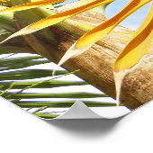 ハワイアンパームズ ポスター (角)