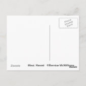 ハワイアンビーチ1 ポストカード (裏面)