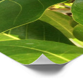 ハワイアンピカケジャスミンブロッサム ポスター (角)