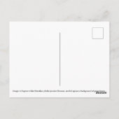 ハワイアンピカケジャスミンブロッサム ポストカード (裏面)