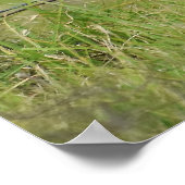 ハワイアンフクロウがフェンスのポストに座る ポスター (角)