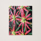 ハワイアンフラワーパズル ジグソーパズル (縦)