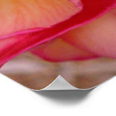 ハワイアンフランギパニ ポスター (角)