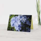 ハワイアンブループラムバゴフラワー カード (正面)