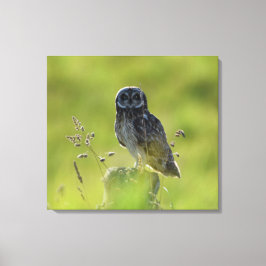 ハワイアンプエ キャンバスプリント