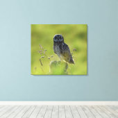 ハワイアンプエ キャンバスプリント (インサイチュ (ウッドフロア))