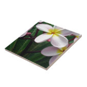 ハワイアンプルメリアフラワーズ タイル (側面)