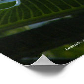 ハワイアンプルメリアポスター ポスター (角)