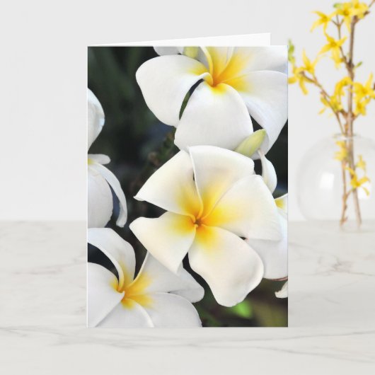 ハワイアンプルメリア熱帯グリーティングカード カード (黄色い花)