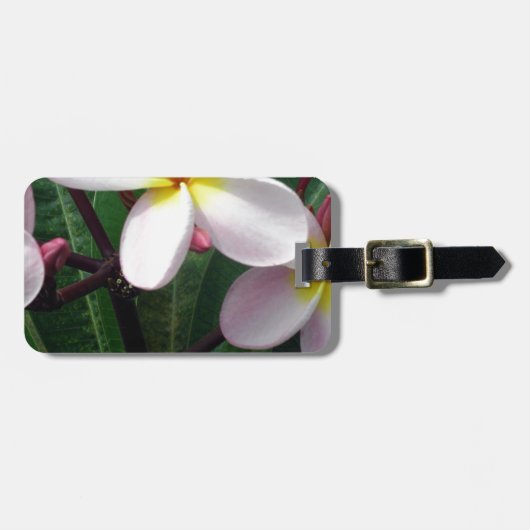 ハワイアンプルメリア花 ラゲッジタグ (正面横)