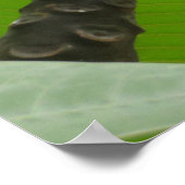 ハワイアンプルメリア ポスター (角)