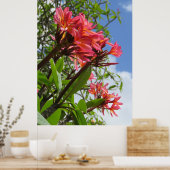 ハワイアンプルメリア ポスター (キッチン)