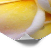 ハワイアンプルメリア ポスター (角)