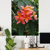 ハワイアンプルメリア ポスター (ホームオフィス)