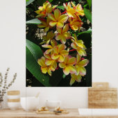 ハワイアンプルメリア ポスター (キッチン)