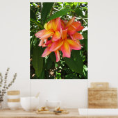 ハワイアンプルメリア ポスター (キッチン)