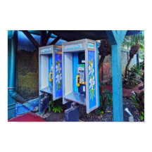 ハワイアンペイフォン，カウアイ，ハワイ