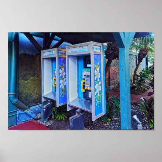 ハワイアンペイフォン,カウアイ,ハワイ ポスター (正面)