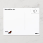 ハワイアンホワイトジンジャーフラワー ポストカード (裏面)