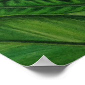 ハワイアンホワイトジンジャー ポスター (角)