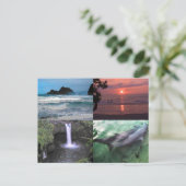 ハワイアンランドスケープフォーフォトアロハハワイ ポストカード (スタンド正面)