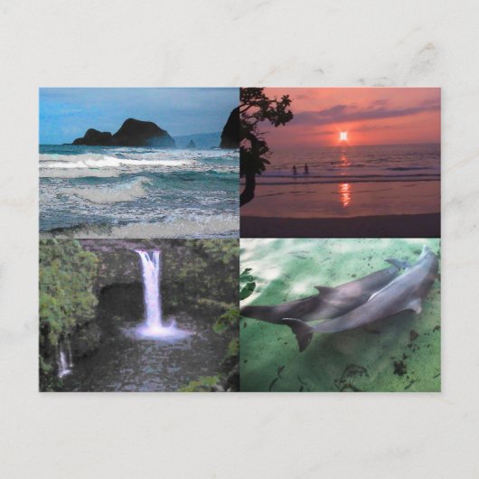 ハワイアンランドスケープフォーフォトアロハハワイ ポストカード (正面)