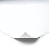 ハワイアンリザードゲッコ ポスター (コーナー)