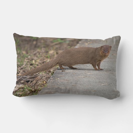 ハワイアンリス(アジアのモングース)装飾用クッション ランバークッション (裏面)