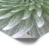 ハワイアン吸汁性 ポスター (角)