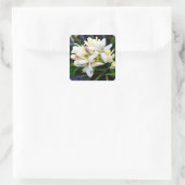 ハワイアン塊茎群 スクエアシール (バッグ)