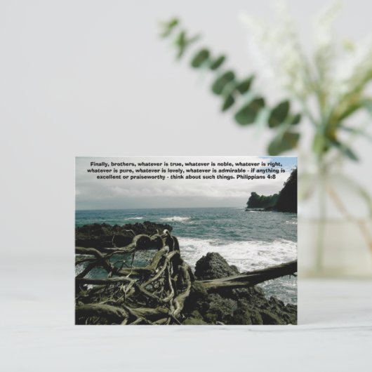 ハワイアン岬 ポストカード (スタンド正面)