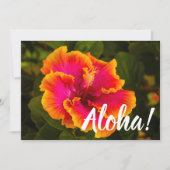 ハワイアン明るい赤紫色とオレンジハイビスカスバイクズfrom Kauai 招待状 (正面)