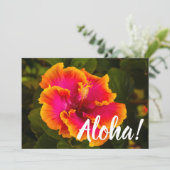 ハワイアン明るい赤紫色とオレンジハイビスカスバイクズfrom Kauai 招待状 (スタンド正面)