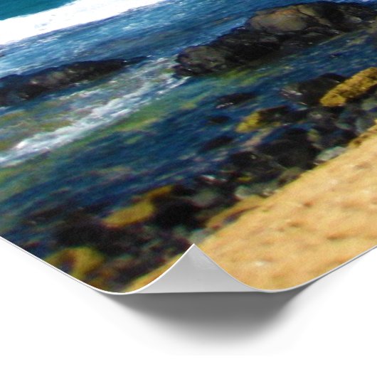 ハワイアン楽園 ポスター (角)