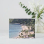 ハワイアン楽園 ポストカード (スタンド正面)