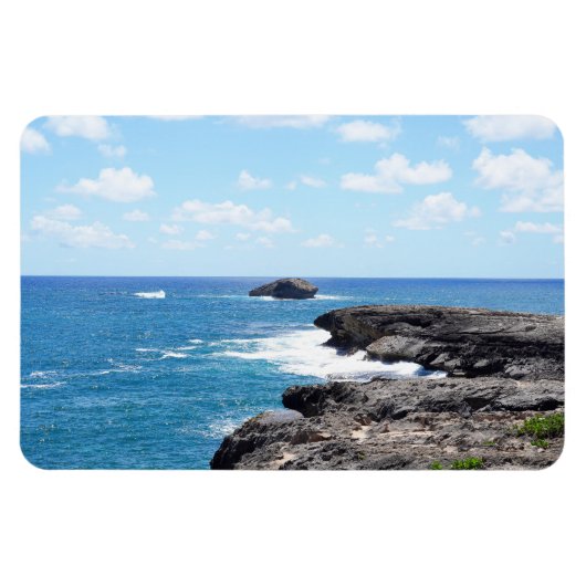 ハワイアン沿岸ビューフォトマグネット マグネット (横)