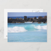 ハワイアン海はがき ポストカード (正面/裏面)