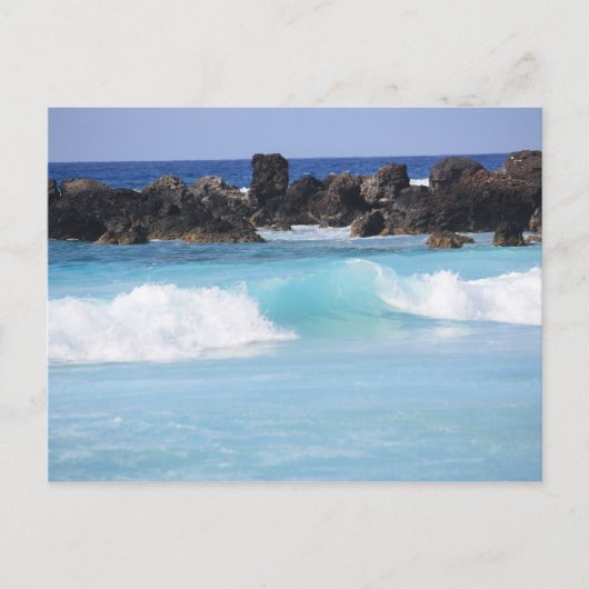 ハワイアン海はがき ポストカード (正面)
