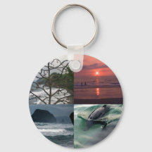 ハワイアン海ビーチツリーフォトビュー